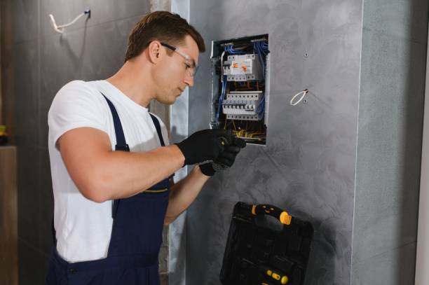 Best Electrical System Inspection  in Pocahontas, IA